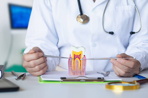 Best Emergency Dental Care for Trauma or Injury in Craigsville, WV